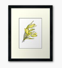 Yellow tulips Framed Print
