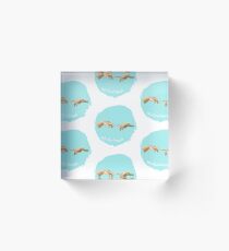 Michelangelo Acrylic Block