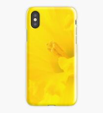 Daffodil iPhone Case/Skin