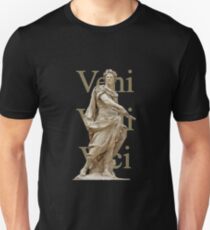 Veni, Vidi, Vici Unisex T-Shirt
