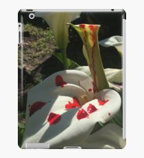 Emo iPad Case/Skin