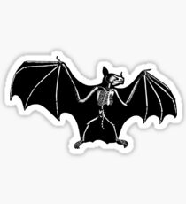 Bat Anatomy Sticker