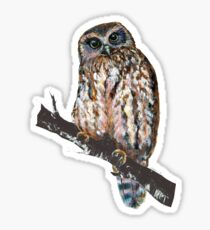 Mrs Ruru, New Zealand Morepork Owl Sticker