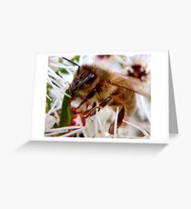 Bee II Greeting Card