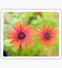 Orange flowers Sticker