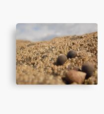 Sea Side Canvas Print