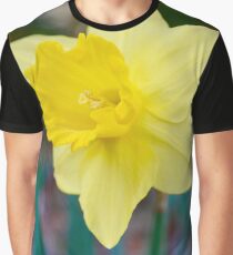 Daffodil Simple Bliss Graphic T-Shirt