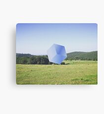 When nature makes a cube Canvas Print