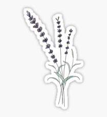 Lavender (With colour) Sticker