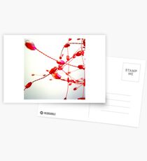 Red Bead Postcards