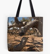 Broken Tote Bag