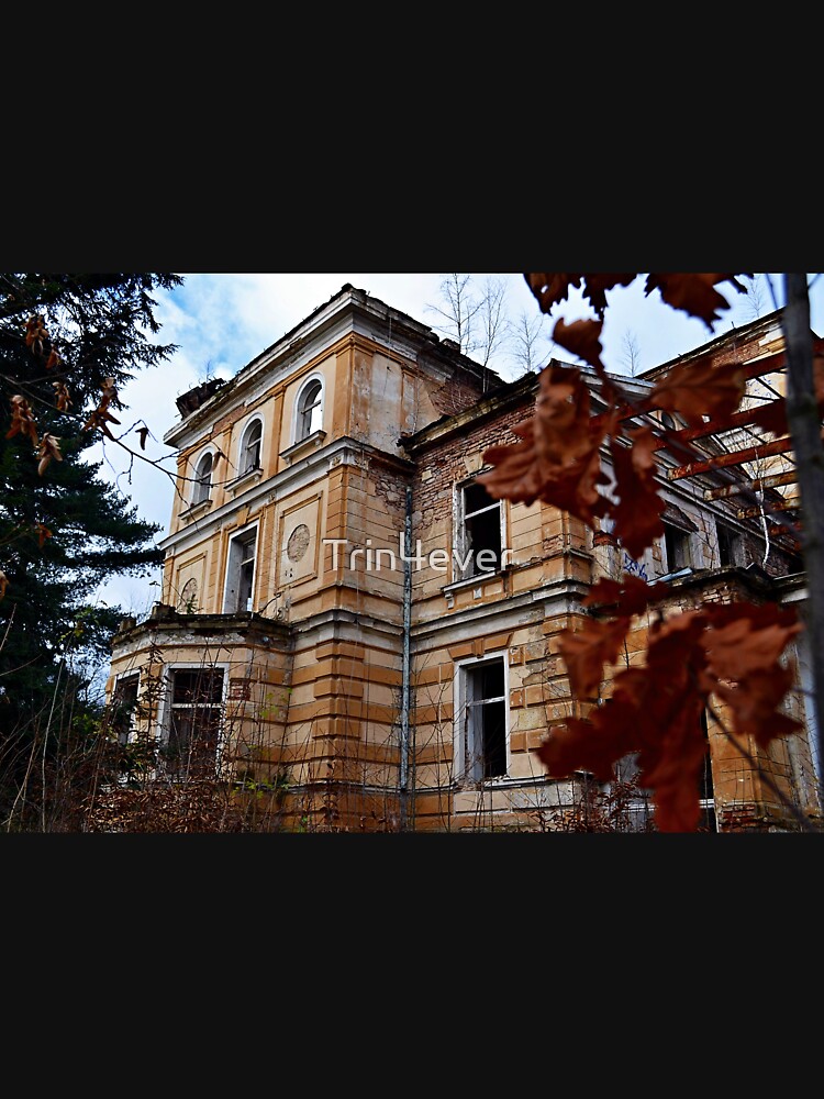Asylum by Trin4ever