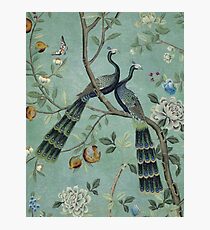 A Teal of Two Birds Chinoiserie Photographic Print