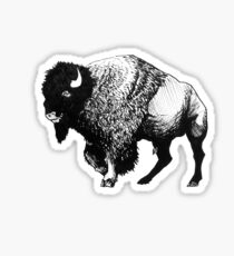 Buffalo Ink Bison Drawing Sticker