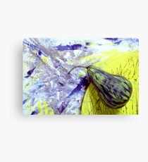 Pear Canvas Print