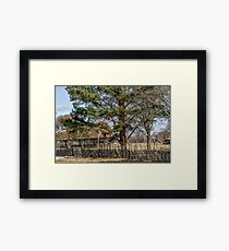 Old building Framed Print