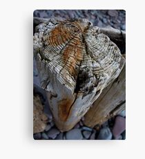 Breakwater Canvas Print