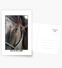 Love at First Sight Postcards