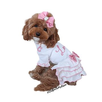 Brown 'n' White Puppy Pink Dress Gift Set