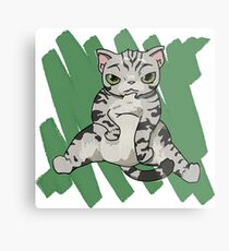 American Shorthair Cat scratch Metal Print