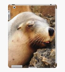 Sea Lion iPad Case/Skin