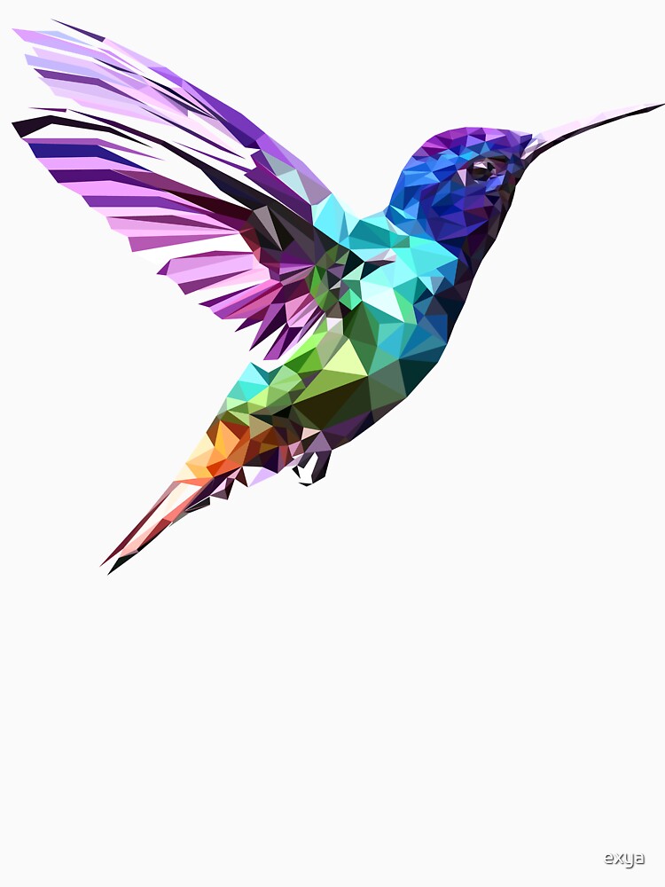 Hummingbird by exya