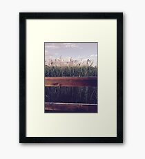 Wetlands Framed Print