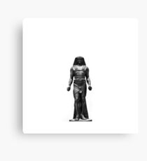 Egyptology Canvas Print
