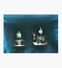Globes Photographic Print