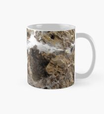 A Rocky face in the Ancient Rock. Mug