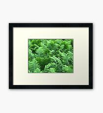 Nature Framed Print