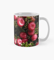 Cheeseberry on Mount Rogoona Mug