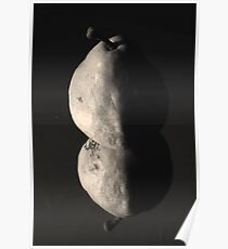 Half pear Rising Poster