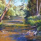 Jamieson River - Kevington by Lynda Robinson