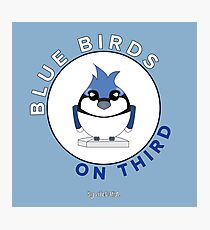 Blue Birds on Third Photographic Print
