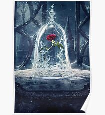 Enchanted Rose Poster