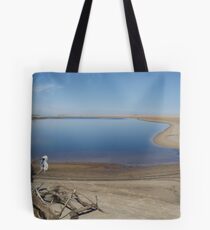 hung out to dry! Tote Bag