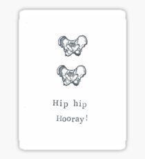 Hip Hip Hooray! Sticker