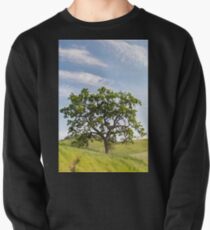 hm Pullover