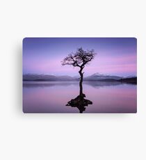 "Alone, But Not Lonely" Canvas Print