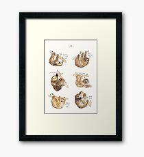 Sloths Framed Print