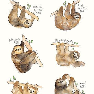 Artwork thumbnail, Sloths by AmyHamilton