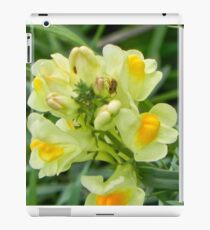 Yellow Flower with insect iPad Case/Skin