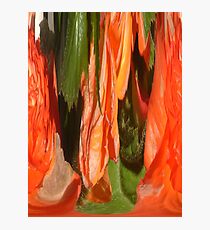 melting poppies Photographic Print