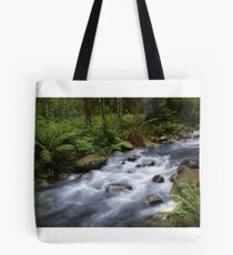 2 Days of rain Tote Bag
