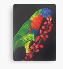 Rainbow Lorikeet #2 Canvas Print
