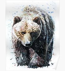 Bär Poster