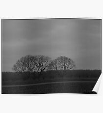 Trees Poster