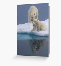 Polar Reflections Greeting Card