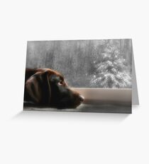 Dreamin' of a White Christmas... Greeting Card